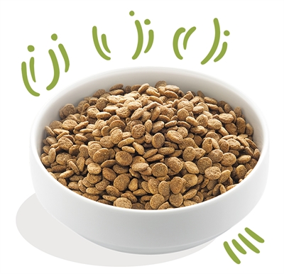 EDGARD & COOPER Verse Graslam Graanvrij Adult hondenvoer droog 7 kg