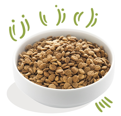 Edgard & Cooper Adult Vers Graslam hondenvoer droog 12 kg