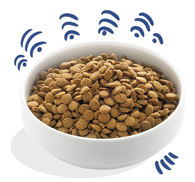 Edgard & Cooper Adult Verse Noorse Zalm hondenvoer droog 7 kg