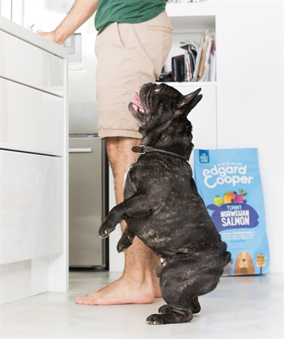 Edgard & Cooper Adult Verse Noorse Zalm hondenvoer droog 12 kg