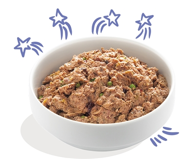 Edgard & Cooper Adult stukjes in saus rund eend hondenvoer nat 11x150 g