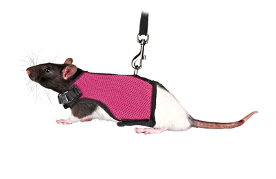 TRIXIE Softtuig met riem voor ratten SOFTTUIG MET RIEM - Mesh, brede drukverdeling, verstelbaar, elastische riem - Assorti - 12-18x120 cm