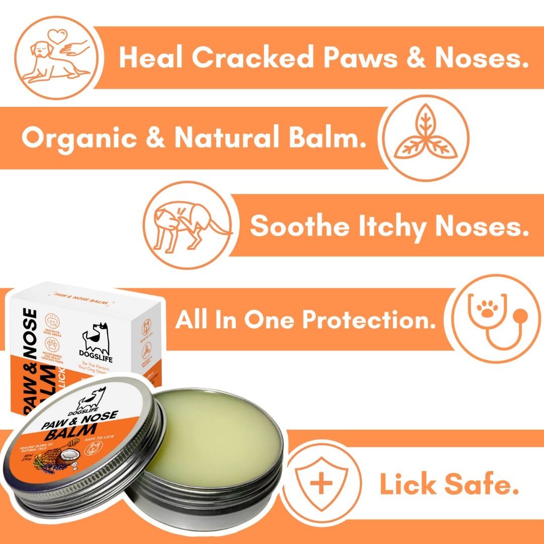 DogsLife Hondenbalsem Paw & Nose Balm – Verzorgt Pootjes en Neus