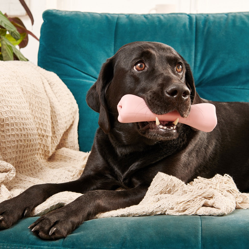 Treat Bone - Groen