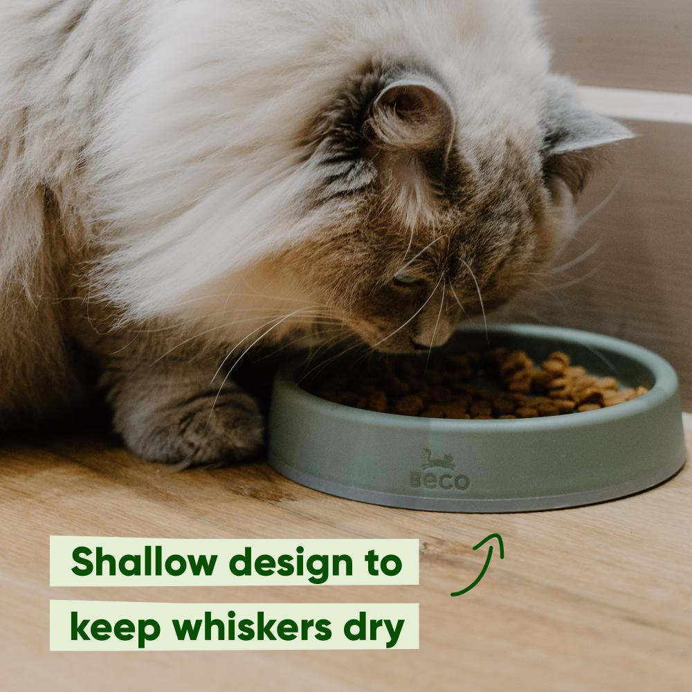Steady Cat Bowl - Rosa - 300 ml