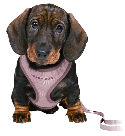 TRIXIE JUNIOR PUPPYTUIG SOFT MET RIEM LILA