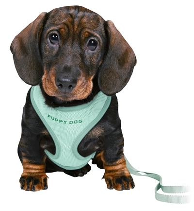 TRIXIE JUNIOR PUPPYTUIG SOFT MET RIEM MINTGROEN