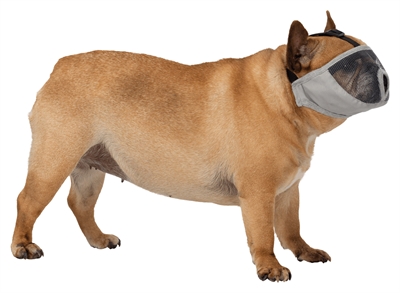 TRIXIE MUILKORF VOOR RASSEN MET PLATTE NEUS POLYESTER GRIJS