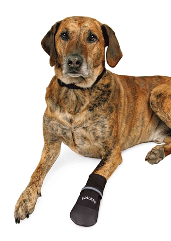TRIXIE POOTBESCHERMING WALKER CARE COMFORT ZWART