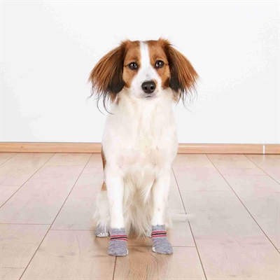TRIXIE HONDENSOKKEN ANTI-SLIP GRIJS
