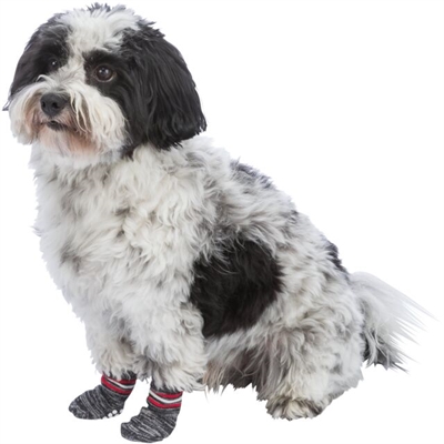 TRIXIE HONDENSOKKEN ANTI-SLIP GRIJS