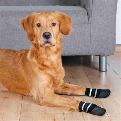 TRIXIE HONDENSOKKEN ANTI-SLIP MET RUBBERLAAG RONDOM ZWART