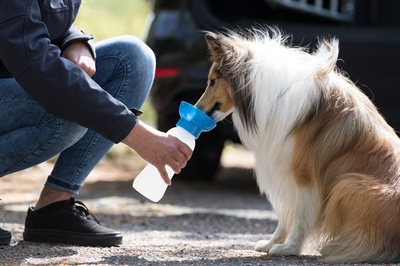 TRIXIE WATERDISPENSER VOOR ONDERWEG KUNSTSTOF ASSORTI