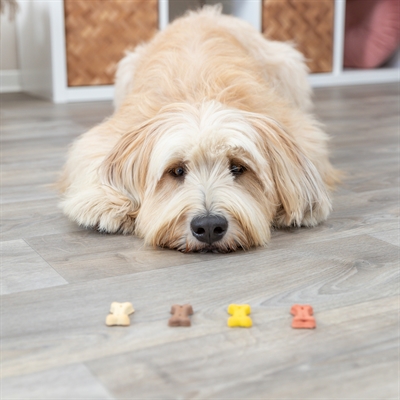 TRIXIE COOKIE SNACK MINI BONES