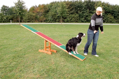 TRIXIE AGILITY WIP