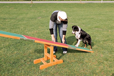 TRIXIE AGILITY WIP