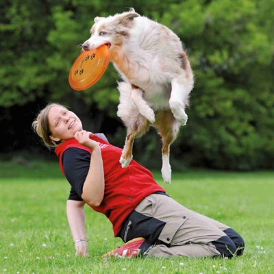 TRIXIE DOG DISC KUNSTSTOF GESCHIKT VOOR WEDSTRIJDEN ASSORTI