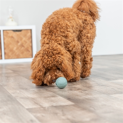 TRIXIE NATUURRUBBER SNACKBAL