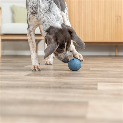 TRIXIE NATUURRUBBER SNACKBAL BLAUW