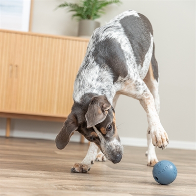 TRIXIE NATUURRUBBER SNACKBAL BLAUW