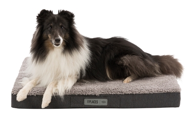 TRIXIE VITAL MATRAS BENDSON ORTHOPEDISCH DONKERGRIJS / LICHTGRIJS