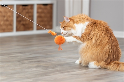 TRIXIE KIP AAN ELASTISCH KOORD PLUCHE MET CATNIP