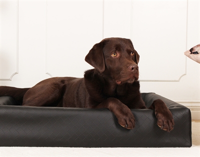 BIA BED HONDENMAND ORIGINAL SQUARE ZWART