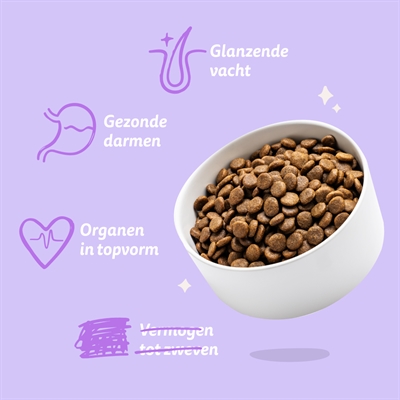 EDGARD & COOPER Puppy Verse Zalm & Kalkoen graanvrij hondenvoer droog 12 kg