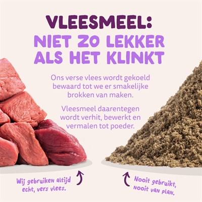 EDGARD & COOPER Puppy Verse Zalm & Kalkoen graanvrij hondenvoer droog 12 kg