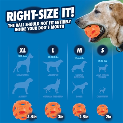 CHUCKIT AIR FETCH BAL MEDIUM ORANJE