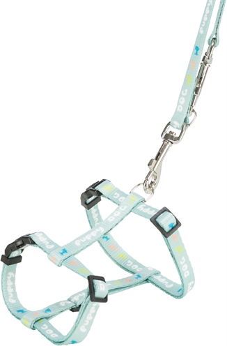 TRIXIE HONDENTUIG JUNIOR MET RIEM MINTGROEN