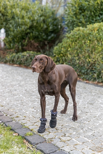TRIXIE POOTBESCHERMING WALKER ACTIVE LONG ZWART