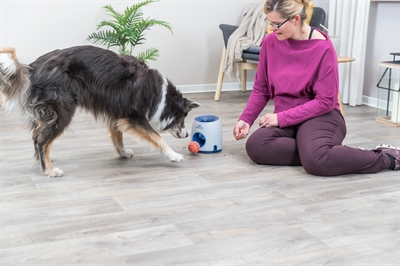 TRIXIE DOG ACTIVITY STRATEGIESPEL BALL&TREAT LICHTGRIJS / BLAUW