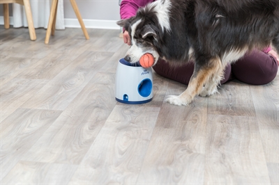 TRIXIE DOG ACTIVITY STRATEGIESPEL BALL&TREAT LICHTGRIJS / BLAUW