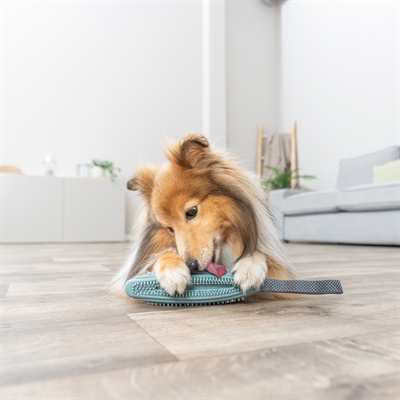 TRIXIE SNACKSTICK AAN SINGELBAND TPR / POLYESTER  MINTGROEN