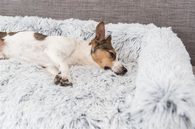 Trixie Harvey Sofa Bed Meubelbeschermer Hoekig