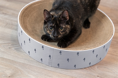 TRIXIE KRABMAND LILLY KARTON CATNIP LICHTGRIJS
