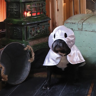 Croci Ticky Ghost cape pour chien