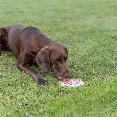 TRIXIE LICK'N'SNACK MAT MET ZUIGNAPPEN SILICONEN GROEN