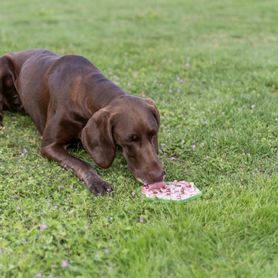 TRIXIE LICK'N'SNACK MAT MET ZUIGNAPPEN SILICONEN GROEN