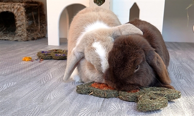 ROSEWOOD NATURALS CARROT 'N' FORAGE BUNNY