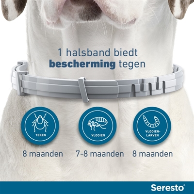 SERESTO TEKEN- EN VLOOIENBAND HOND
