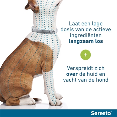 SERESTO TEKEN- EN VLOOIENBAND HOND