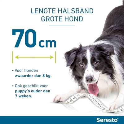 SERESTO TEKEN- EN VLOOIENBAND HOND