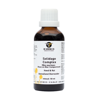 DE GROENE OS SOLIDAGO COMPLEX HOND / KAT