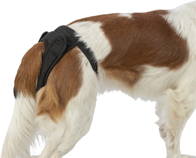 TRIXIE BESCHERMBROEKJE COMFORT MESH MATERIAAL ZWART