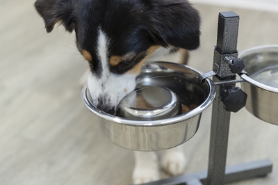TRIXIE Slow Feeding Voerbak Hond RVS