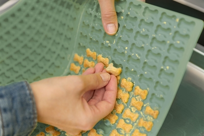 TRIXIE Bakmat voor honden Met botjes Silicone Multifunctioneel (bak/vries/likmat) | Temperatuur -40–230°C - Vaatwasserbestendig - 38x28 cm