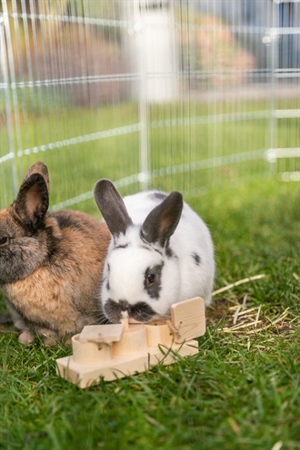 TRIXIE SNACK CUPS VOOR RATTEN EN KONIJNEN HOUT