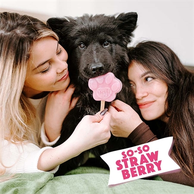 SMOOFL-EIS